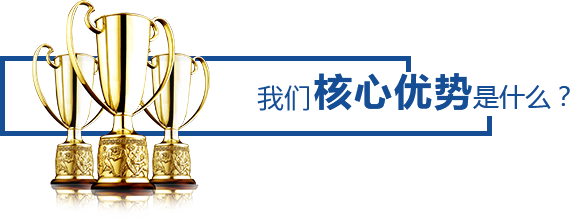 核心優(yōu)勢(shì)是什么？